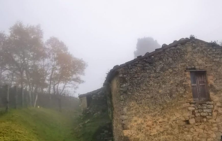 Il cammino delle suore, alla scoperta dei vigneti “eroici” di Cantina Villa Colle