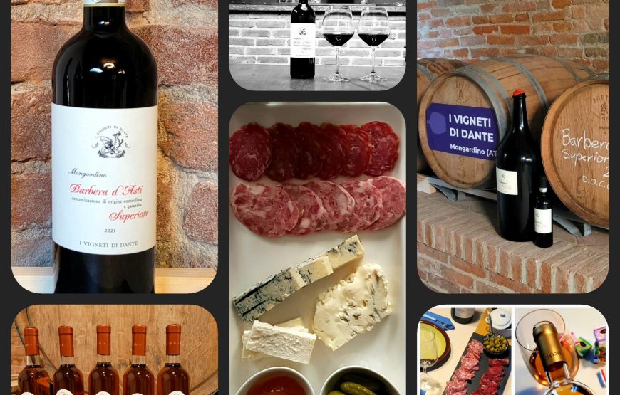 I vini e le colline della Barbera d’Asti